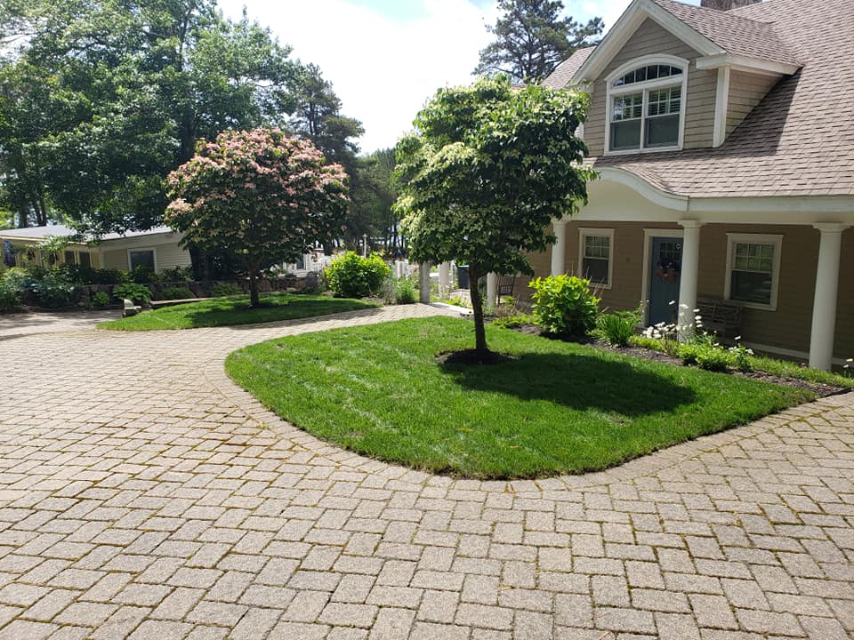 After shot of Complete Lawn Renovation