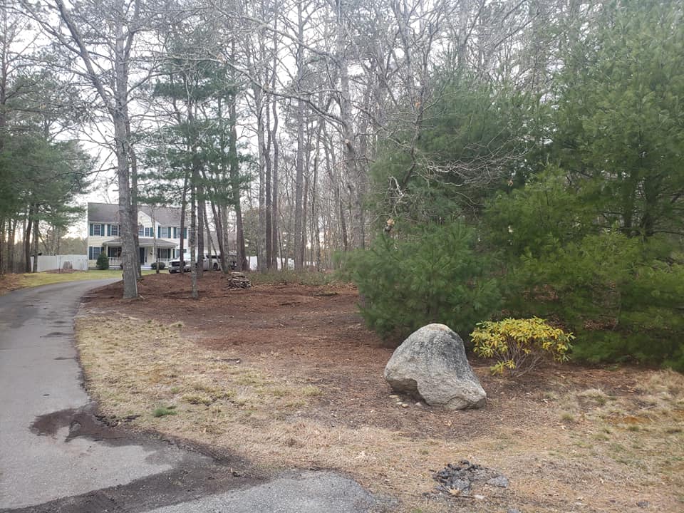 After shot of Seasonal Cleanup