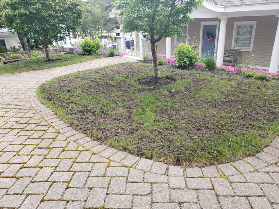 Before shot of Complete Lawn Renovation