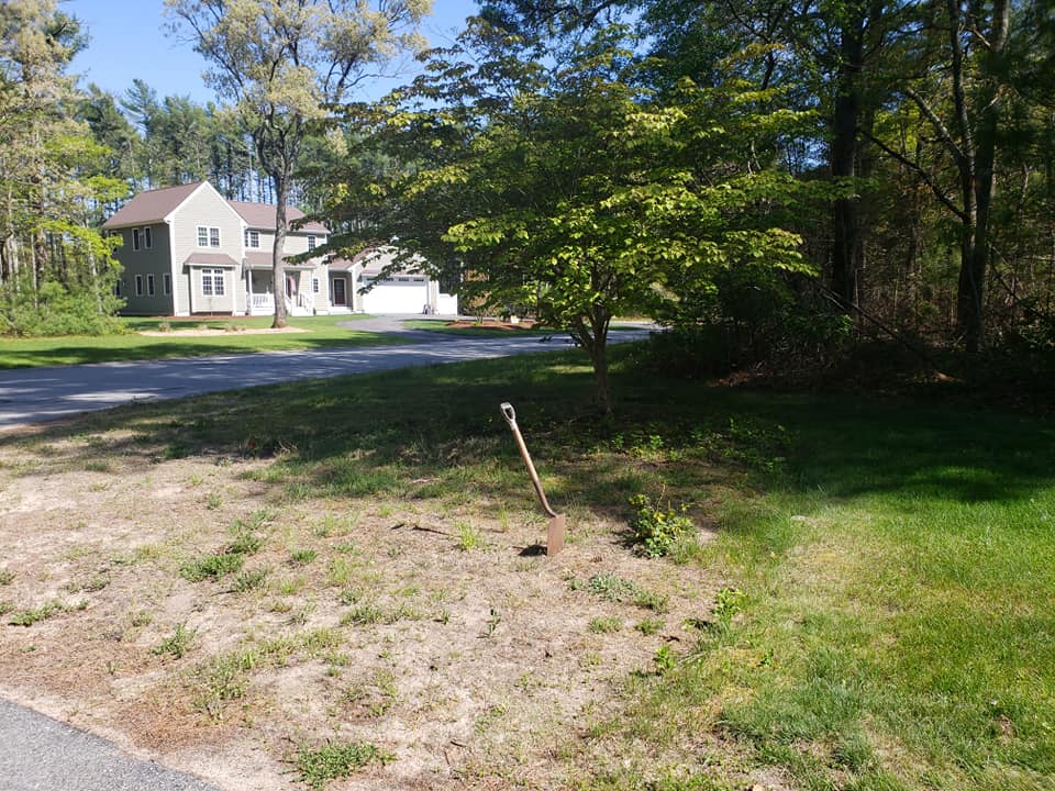 Before shot of Mulching