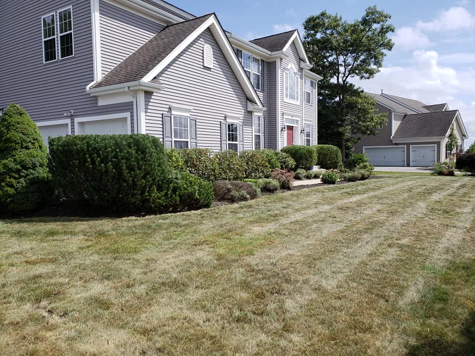 Completed project by jhrlandscaping - Hedge Trimming